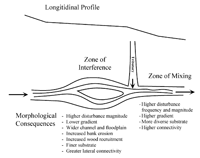 Typical tributary fan effectss on mainstem environment