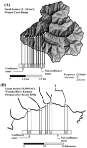 Confluence environments could be a component of channel typing, where effects and spacing will differ based on watershed size