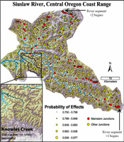 The probability of a tributary effects can be estimated based on the size of the tributary relative to the main stem