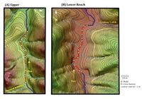 Scour chains located on cross sections and bracketing salmon redds