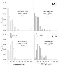 Salmon appeared to select areas that were prone to fill (pool tails)