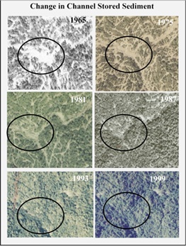 Historic tractor logging created a massive influx of sediment to channels in the 1950s and 1960s, as shown here on historical air photos from SF Wages Creek