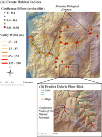 Example of using desktop watershed analysis (NetMap, Benda et al. 2007) to identify potential biological hotspots at large (upper figure) and smaller (lower figure) scales