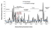 High variation in wood recruitment requires long surveys (4 or more km) before converging on a mean value